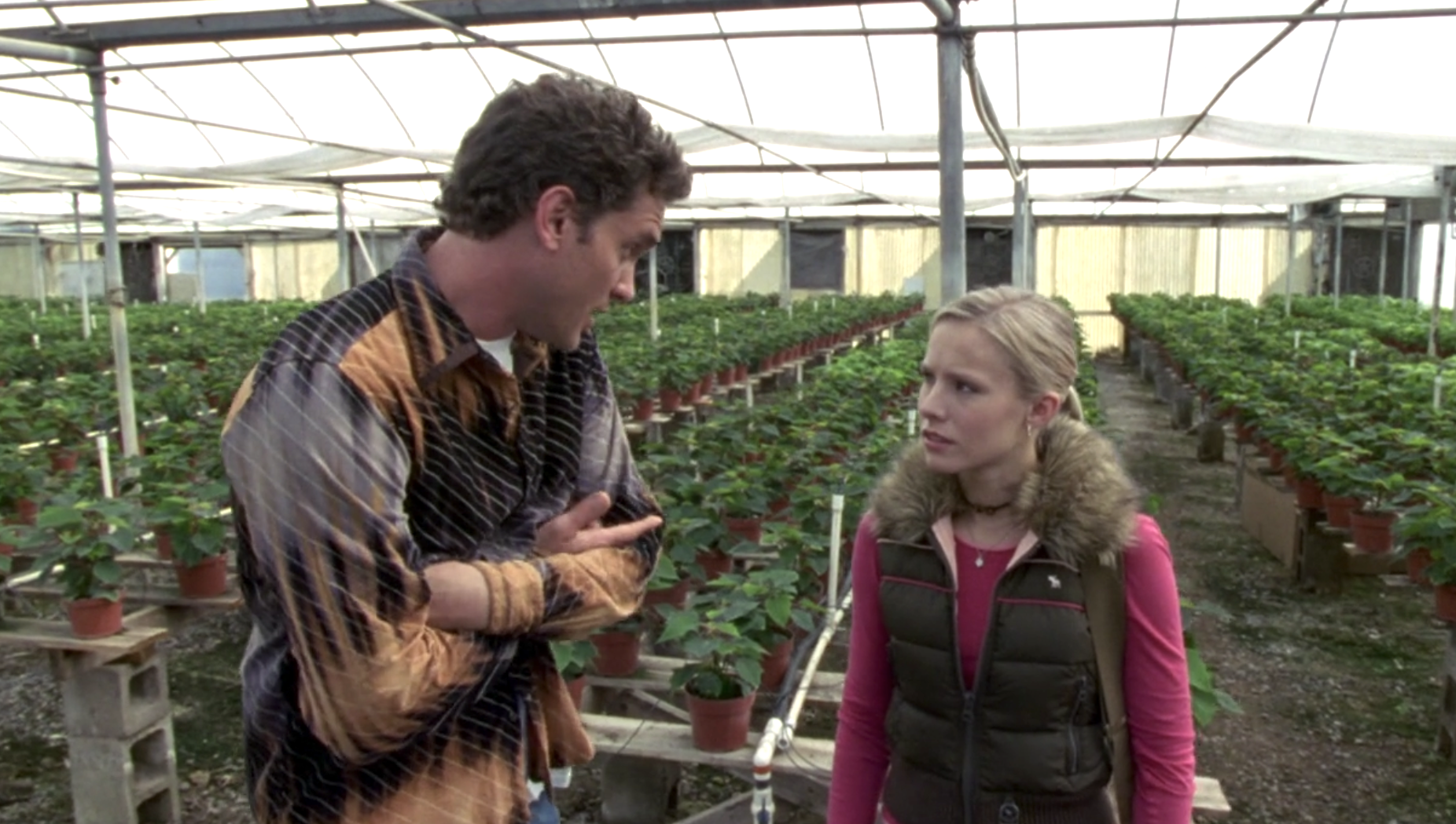 Screenshot of S1E9 of Veronica Mars. Josh and Veronica stand in a greenhouse with rows of green plants behind them. Josh is wearing an orange and gray button down shirt and look at Veronica who is wearing a pink longsleeved shirt and a brown vest with a fur color and looking at Josh with skepticism.